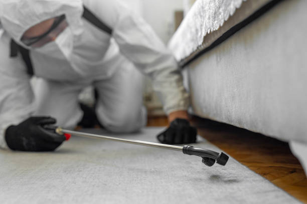 Professional Pest Control technician working in Morris, IL