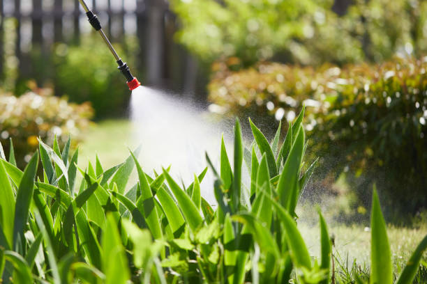 24/7 Emergency Pest Control experts in Morris, IL