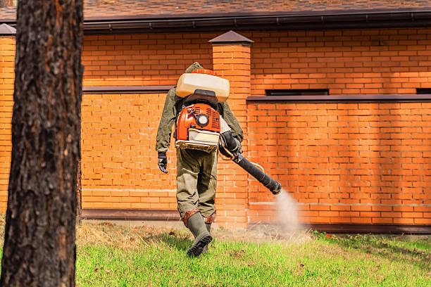 Top rated local Pest Control specialists in Morris, IL